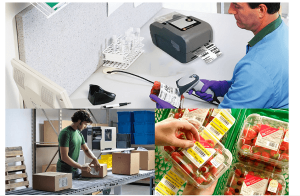 Hướng dẫn cách đọc mã vạch chính xác nhất?