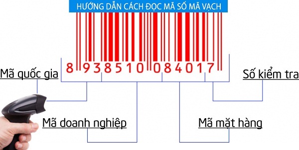 Hướng dẫn cách đọc mã vạch chính xác nhất?